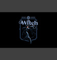 a witch in witchs hat vector image