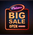 neon sign big sale open vintage electric signboard vector image