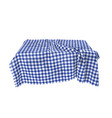 a checkered tablecloth vector image vector image