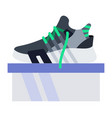 lace-up sneakers on box icon flat isolated vector image