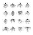 big set of black roots vector image vector image