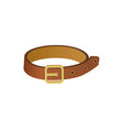 pet leather collar icon vector image