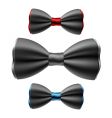 set of bow ties vector image