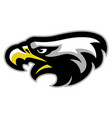 eagle head mascot vector image