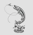 pike jumps out water for spoon in style vector image