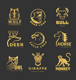 animals logo business identity symbols vector image