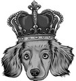 design head dog king in white background vector image vector image