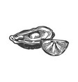 oyster with lemon sea animal engraving vector image vector image