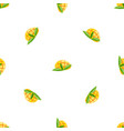 sweet mango pattern seamless vector image