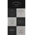 trendy retro vintage insignias bundle vector image vector image