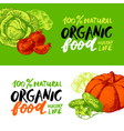eco food menu banners hand drawn sketch vegetables vector image vector image