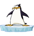 penguin on the ice floe vector image vector image