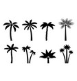 set simple palm trees vector image