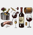 wine set alcoholic drink in hand sparkling vector image vector image