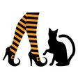 witches feet in shoes and a black cat vector image vector image