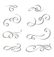 swirls vector image