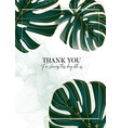 palm leaves tropical design monstera jungle vector image vector image