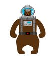 bear russian astronaut wild beast spaceman vector image