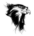 falcon head vector image