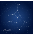 hercules constellation vector image