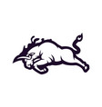 black and white bull used for logos and other vector image vector image