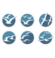 seagull icon set vector image