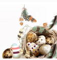 with easter eggs bird nest feathers vector image vector image