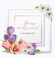 spring background with tulips crocuses anemones vector image