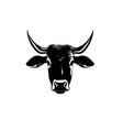 black angus logo design template cow bull vector image