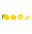 lemon slice citrus fruit flat icon vector image vector image