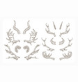 collection of horns various animals isolated vector image