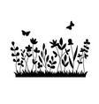 field with grass and wildflowers isolated vector image vector image