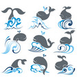 whale and sea waves vector image