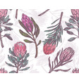 seamless pattern with sketch drawing protea vector image
