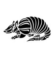 black and white tattoo art with stylized armadillo vector image
