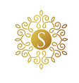 letter s with elegant gold frame design vector image vector image