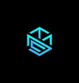 abstract blue hexagonal business logo design vector image vector image