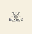 animal pets dog bull head vintage logo design vector image