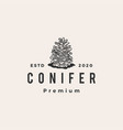 conifer hipster vintage logo icon vector image vector image