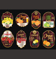 retro vintage golden labels for organic fruit vector image vector image