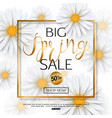 spring sale banner with realistic chamomile flower vector image