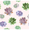 seamless colorful succulents vector image vector image