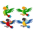 cartoon macaw collection set vector image vector image