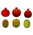 green kiwi and pomegranates fruits vector image