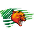 puma with american flag vector image