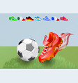 football shoes and ball vector image vector image