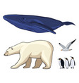 colorful arctic animals set vector image vector image
