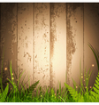 grass over wooden background vector image vector image
