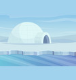 north pole cartoon background in cold winter vector image vector image