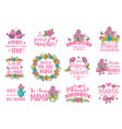 spanish mother day greeting vector image vector image